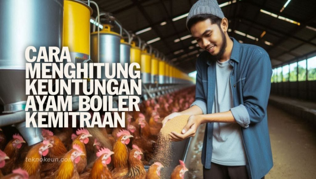 Cara Menghitung Keuntungan Ayam Broiler Kemitraan