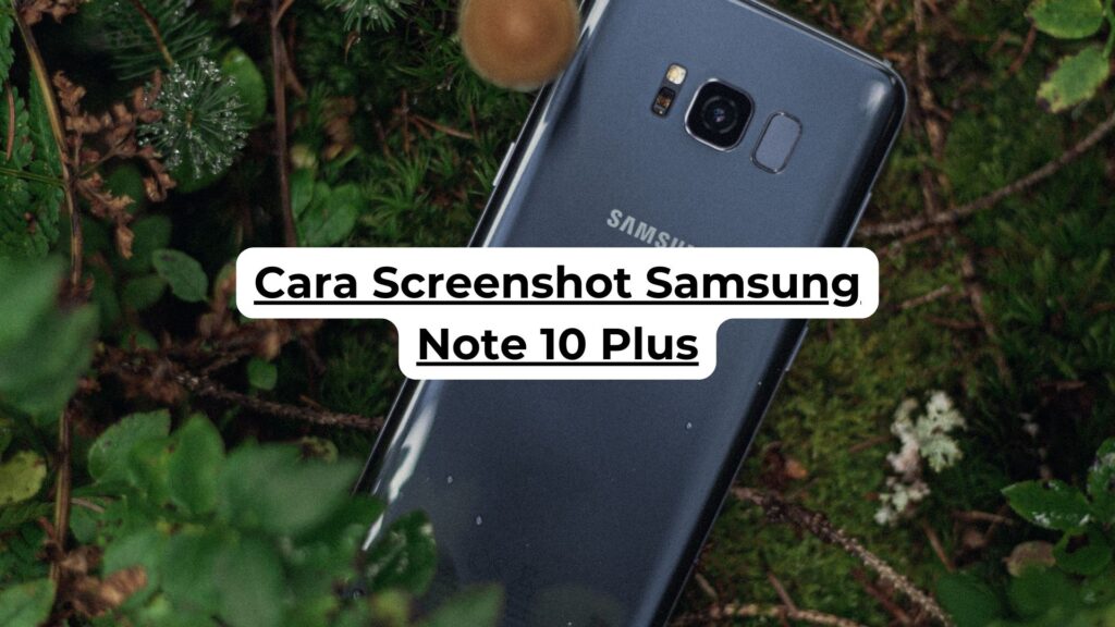 Cara Screenshot Samsung Note 10 Plus